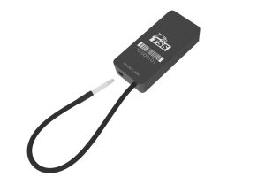 Electronic Seals